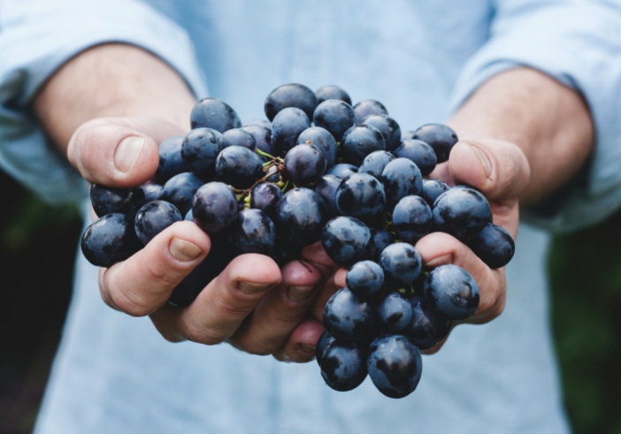 Illustration de l'article : Viticulteurs, agriculteurs : les outils fiscaux à connaître pour 2025<br />
