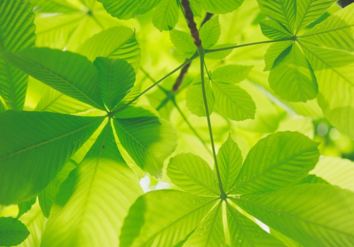 Illustration de l'article : Bilan carbone : faites-vous accompagner par JPA Wanlin Grelier, expert agrée