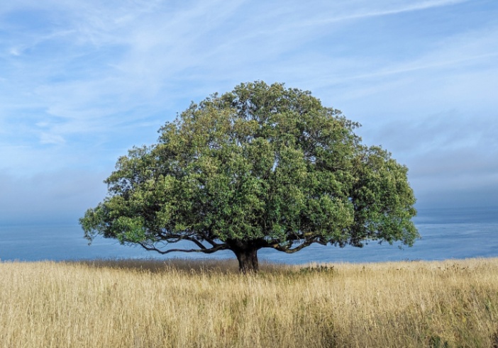 Illustration de l'article : Quels dispositifs d'épargne salariale mettre en place dans votre société ?