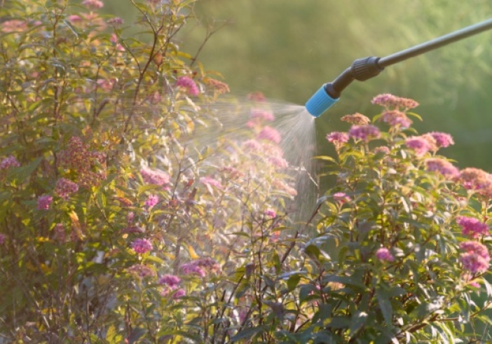 Illustration de l'article : Produits phytosanitaires : réduction et contrôle de leur utilisation
