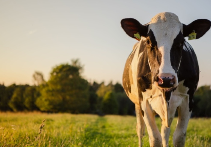 Illustration de l'article : Agriculture : le point sur les mesures d’aide