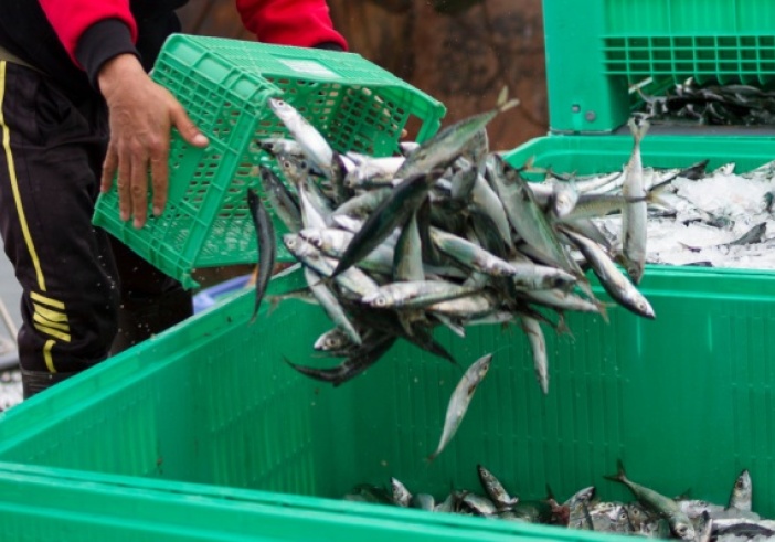 Illustration de l'article : Secteur de la pêche : évolution des critères des demandes d’antériorités