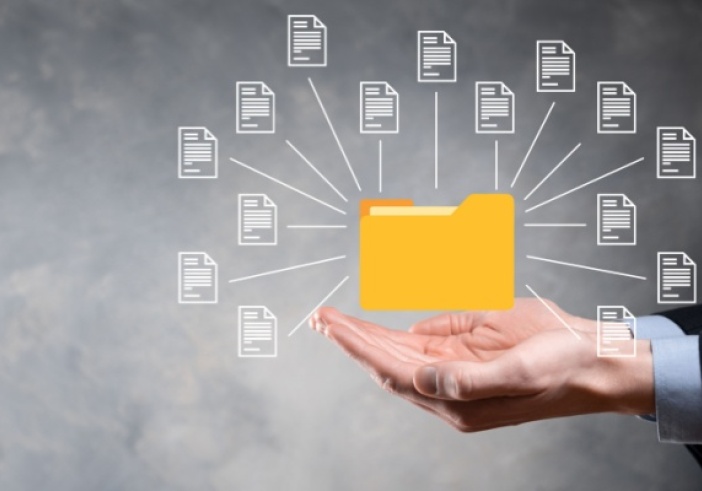 Illustration article : Rapports sur la durabilité et devoir de vigilance (CSRD et CS3D) : un allègement à venir ?