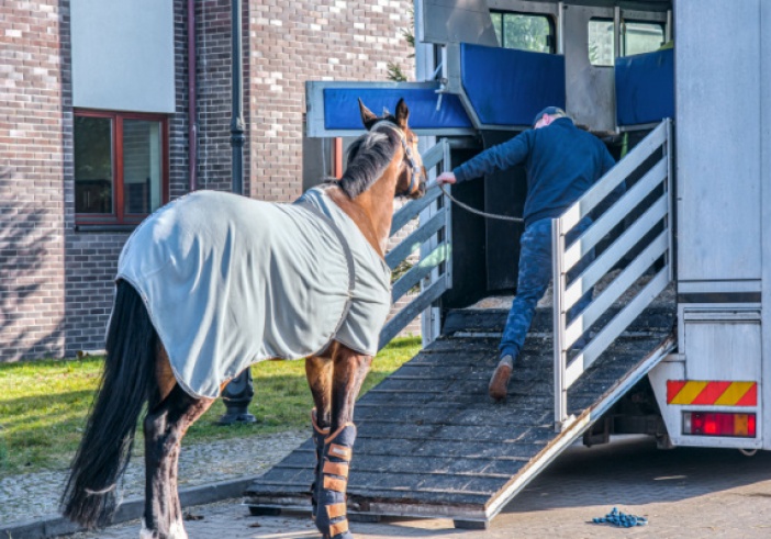 Illustration de l'article : Transport de chevaux par un agriculteur = chronotachygraphe ?