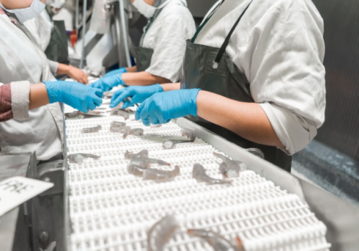 Illustration de l'article : Secteur maritime : des structures professionnelles moins contrôlées ?