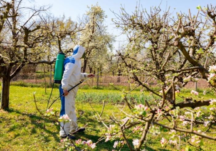 Illustration de l'article : Commerce de fruits : une nouvelle limitation à connaître