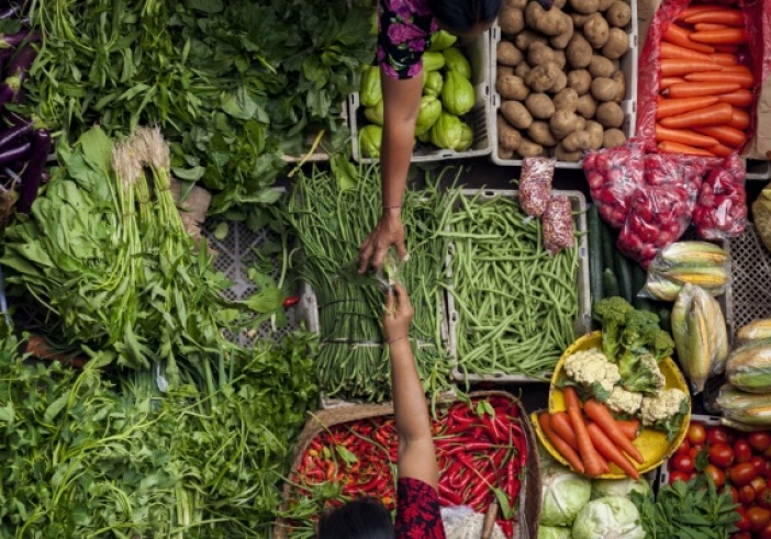 Illustration de l'article : Loi sur la stabilité économique et la compétitivité du secteur agroalimentaire : quelles nouveautés ? 