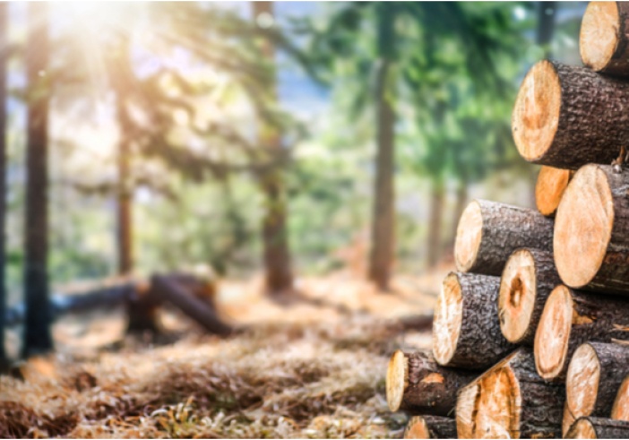 Illustration de l'article : Donation de biens ruraux : quelle imposition ?