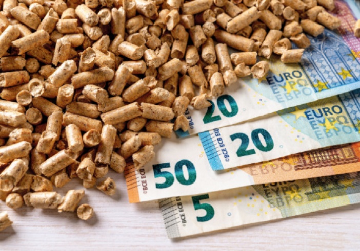 Illustration de l'article : Un chèque énergie exceptionnel pour les ménages chauffés au bois