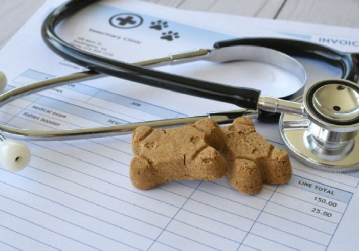 Illustration de l'article : Frais de vétérinaires et d’alimentation animale : une révision de la TVA en vue pour les SPA ?