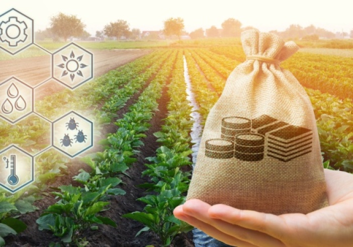 Illustration article : Agriculture à Saint-Pierre-et-Miquelon : une aide à l’installation possible