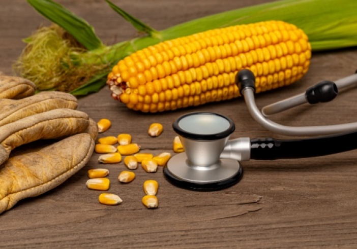 Illustration de l'article : Travailleurs agricoles : bientôt du nouveau en matière de suivi de l’état de santé !