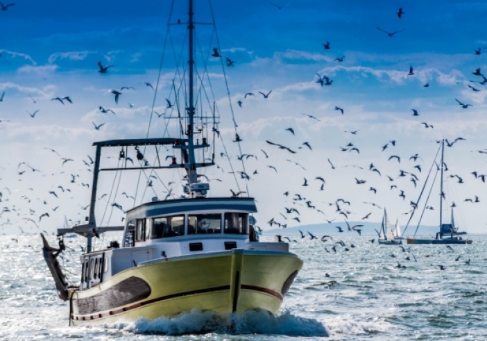 Illustration de l'article : Création d’une aide pour la trésorerie des entreprises de pêche