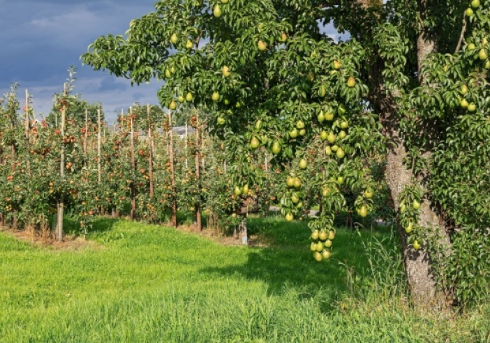 Illustration de l'article : Aides aux agriculteurs : les soldes pour la campagne 2023 connus