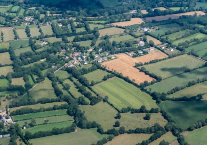 Illustration de l'article : Un « Pacte en faveur de la haie » pour 2024