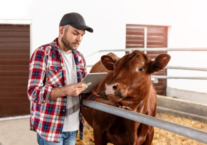 Illustration de l'article : Agriculture : point sur la situation