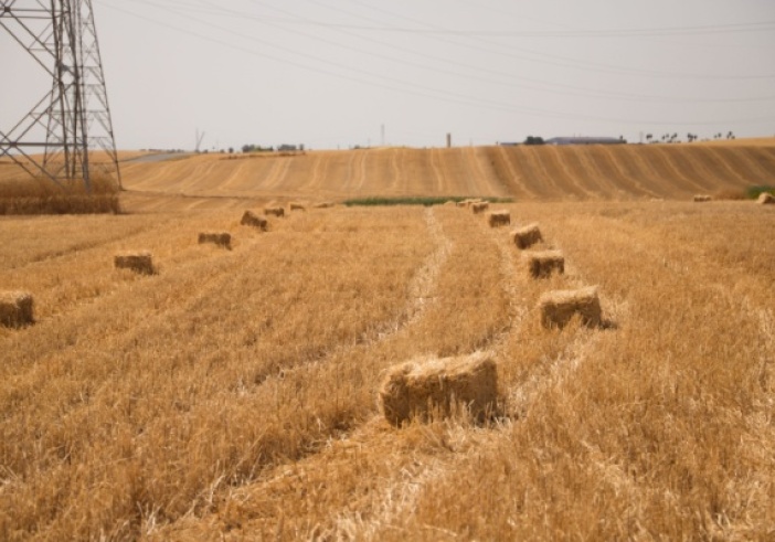 Illustration de l'article : Un exploitant agricole… qui ne l’est pas vraiment ?