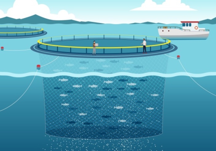 Illustration de l'article : Pisciculture marine et concession d’exploitation : des critères à connaître