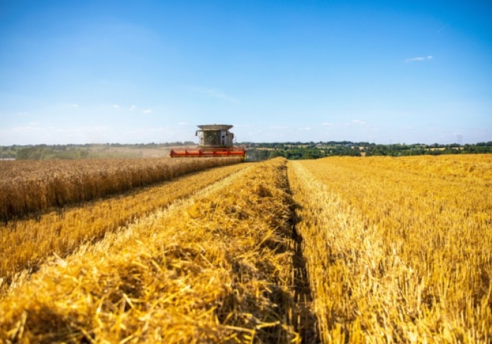 Illustration de l'article : Secteur agricole : ce qui va changer en 2025