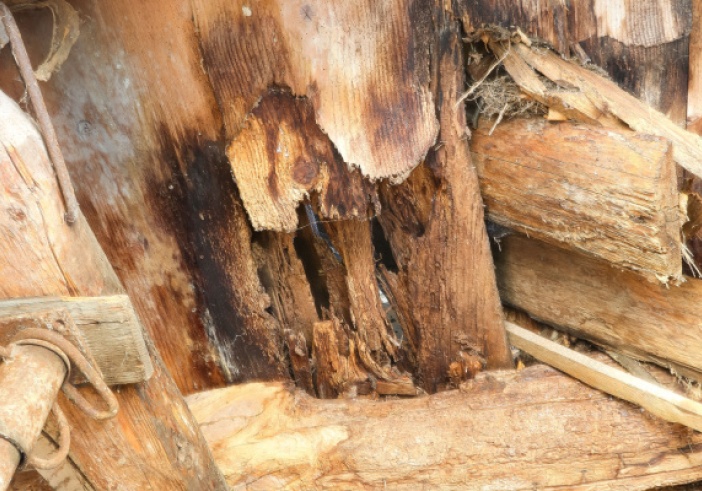 Illustration article : Garantie des vices cachés et immobilier : cas vécu…