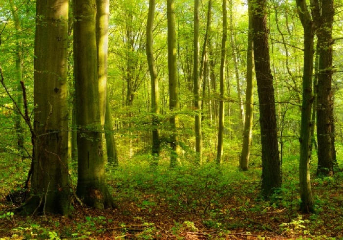 Illustration de l'article : Don et réduction d’impôt : de nouveaux bénéficiaires !