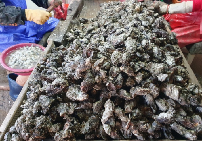 Illustration de l'article : SAFER : quand le droit de préemption est mal motivé…