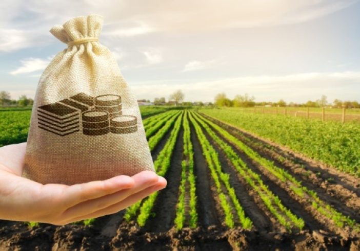 Illustration de l'article : Aides couplées végétales : publication de certains montants pour 2024