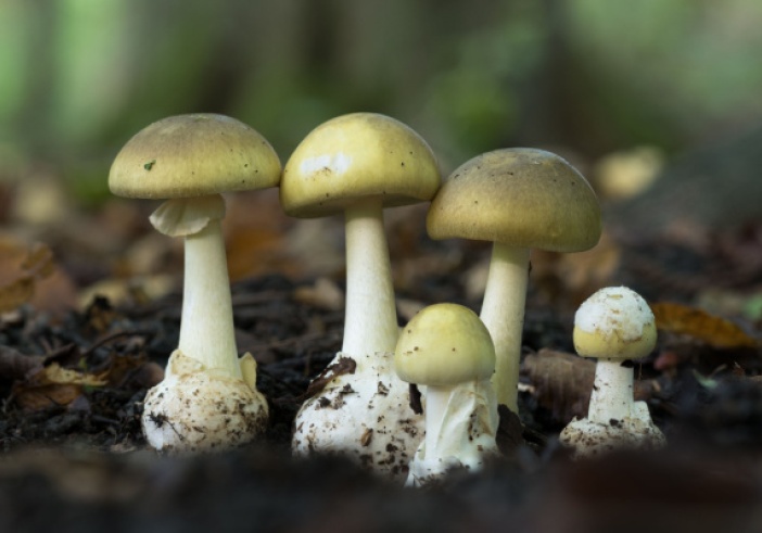 Illustration de l'article : Reconstitution de chiffre d’affaires : une méthode jugée « sommaire » ?