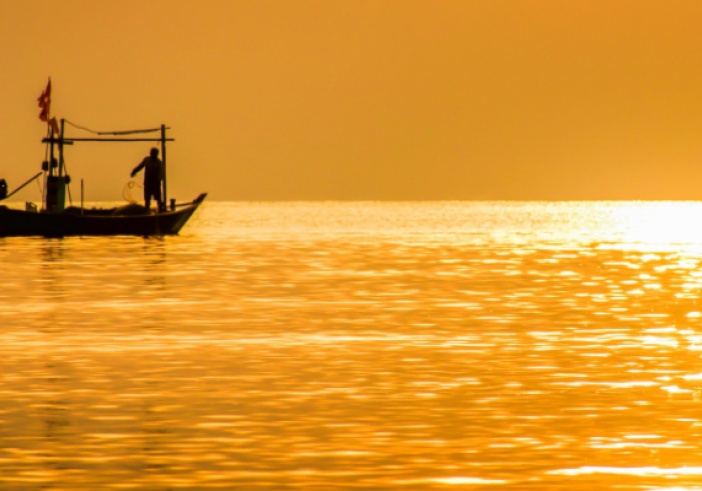 Illustration de l'article : Pollution marine par la chlordécone : une aide financière prolongée