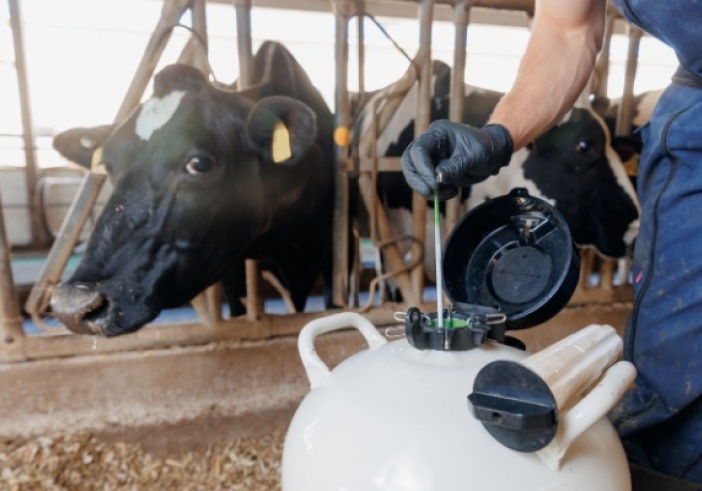 Illustration article : Insémination artificielle : harmonisation des démarches