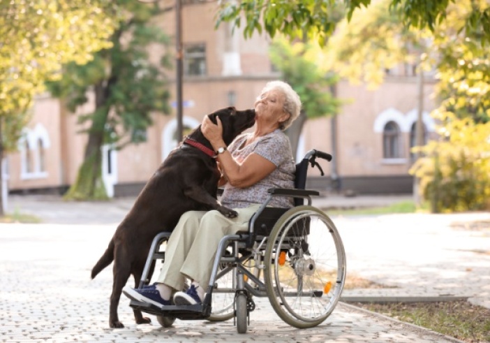 Illustration de l'article : EHPAD et animaux de compagnie des résidents : les conditions sont connues !