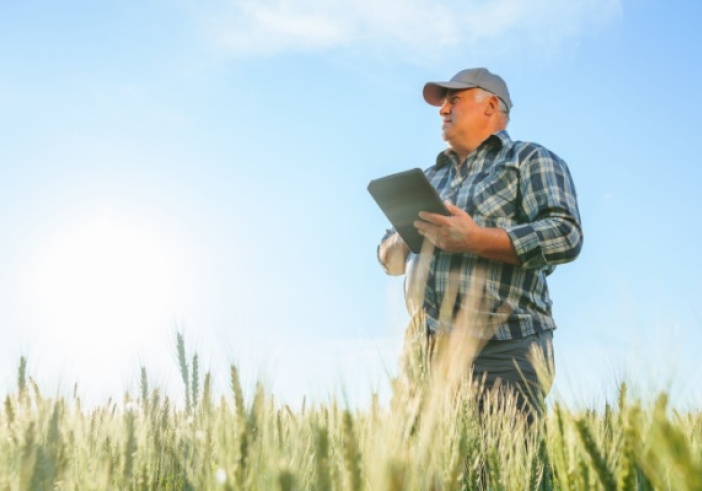 Illustration de l'article : Retraite agricole : le point RCO revalorisé en 2025