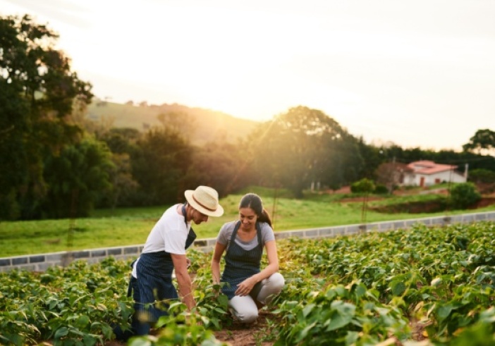 Illustration de l'article : Ajustement de droits à paiement de base : quelques précisions pour les exploitants agricoles…