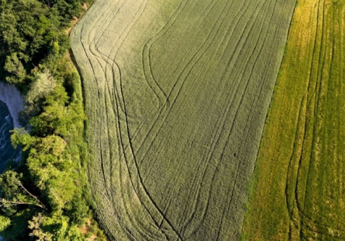 Illustration de l'article : BCAE : un assouplissement sur la protection des cours d’eau