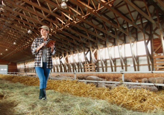 Illustration de l'article : Crédit d’impôt « Haute Valeur Environnementale » : une fois, pas deux !