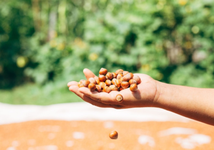 Illustration de l'article : Taxe foncière : producteur-grainier = agriculteur ?