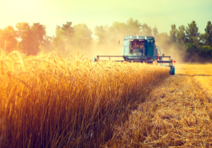 Illustration de l'article : Exonération de charges dans le secteur agricole : 3 ans de plus !