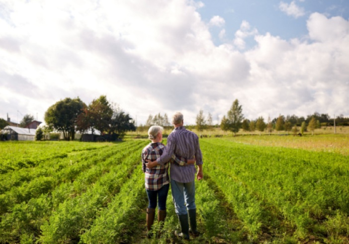 Illustration de l'article : Retraite des non-salariés agricoles : bientôt un nouveau mode de calcul !