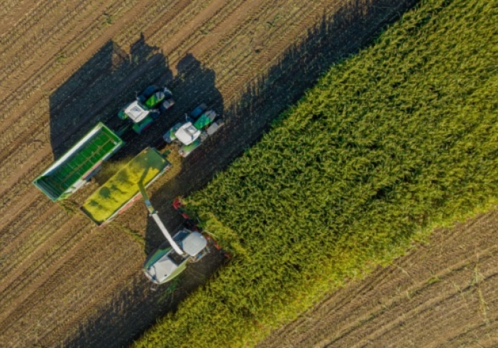 Illustration de l'article : Bail rural : payer ses fermages en fonction de ses récoltes ?