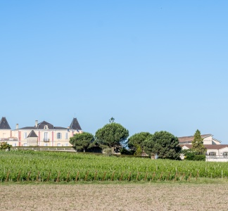 Illustration article : Indispensable d’être accompagné par des experts-comptables spécialisés dans le secteur viticole