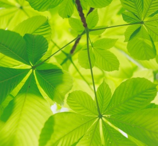 Illustration article : Bilan carbone : faites-vous accompagner par JPA Wanlin Grelier, expert agrée