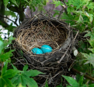 Illustration article : Investissement immobilier patrimonial : établissez une analyse gratuite