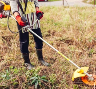 Illustration article : Incendies de forêt : plus d’informations pour une meilleure prévention !