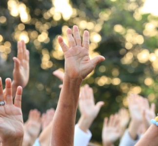 Illustration article : Abus de majorité : tous d’accord, c’est quand même abusif ?