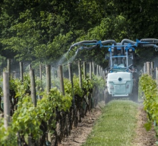 Illustration article : Produits phytopharmaceutiques : faciliter la lutte contre certaines maladies