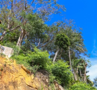 Illustration article : Mayotte : de nouvelles dérogations pour accélérer la reconstruction