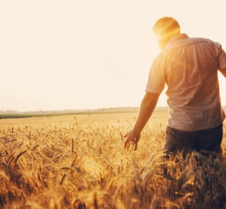 Illustration article : Agriculteurs : du nouveau concernant vos prestations sociales !