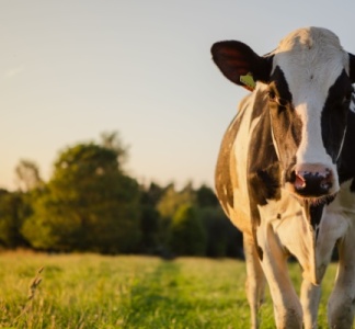 Illustration article : Agriculture : le point sur les mesures d’aide