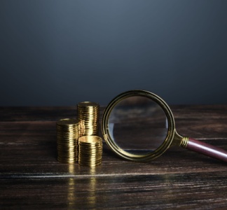 Illustration article : Finances publiques : la chasse à la fraude est ouverte !