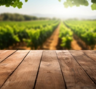 Illustration article : Travailleurs agricoles occasionnels : rappel des règles applicables